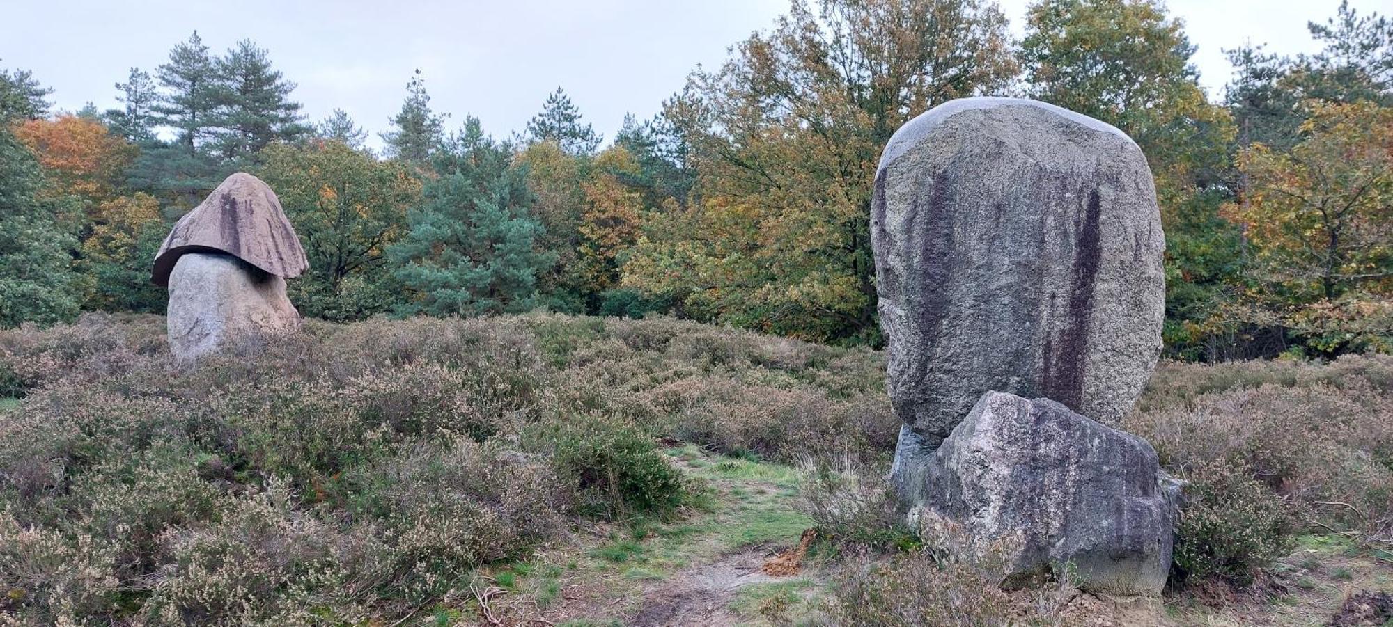 Вилла Mooi Drenthe Wezuperbrug Экстерьер фото