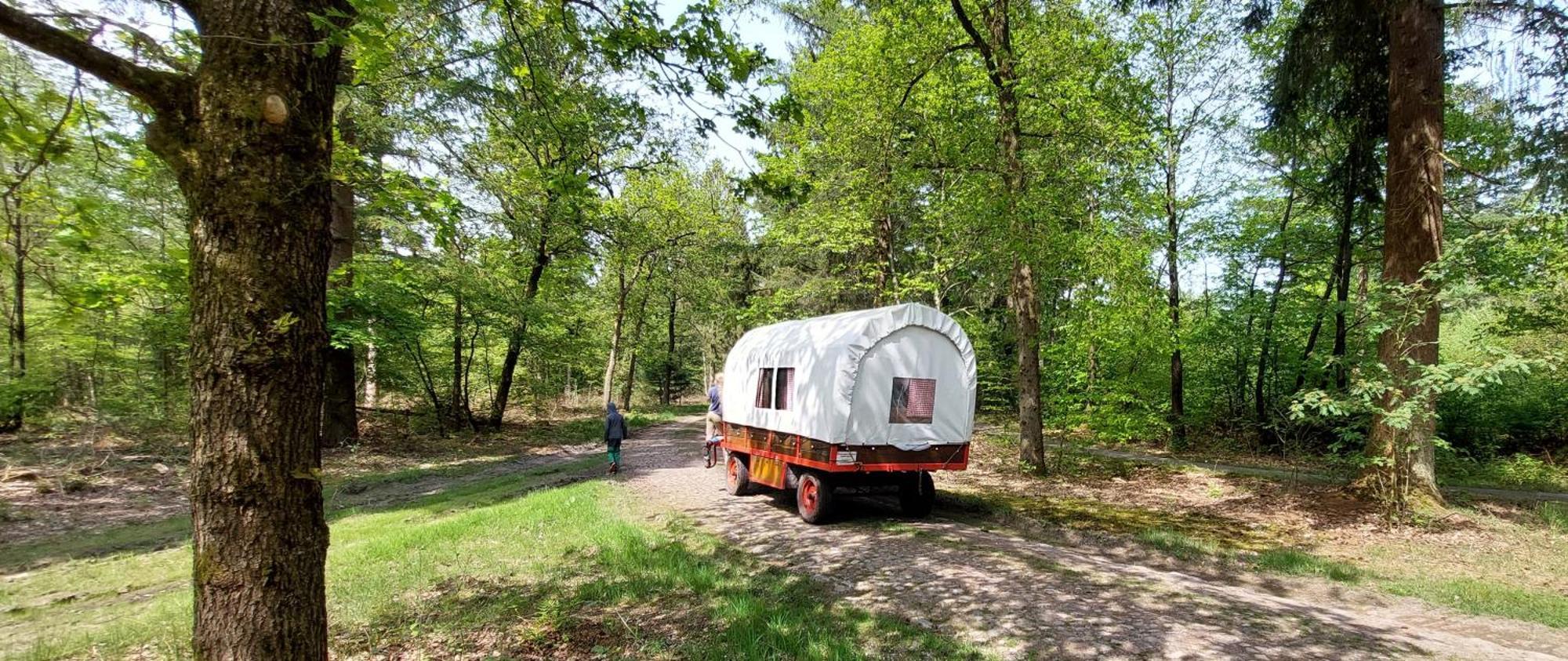Вилла Mooi Drenthe Wezuperbrug Экстерьер фото